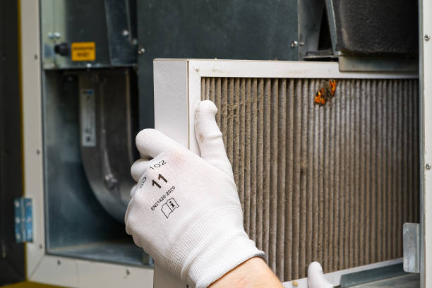 Best Air Duct Cleaning Near Me  in Preston, MN